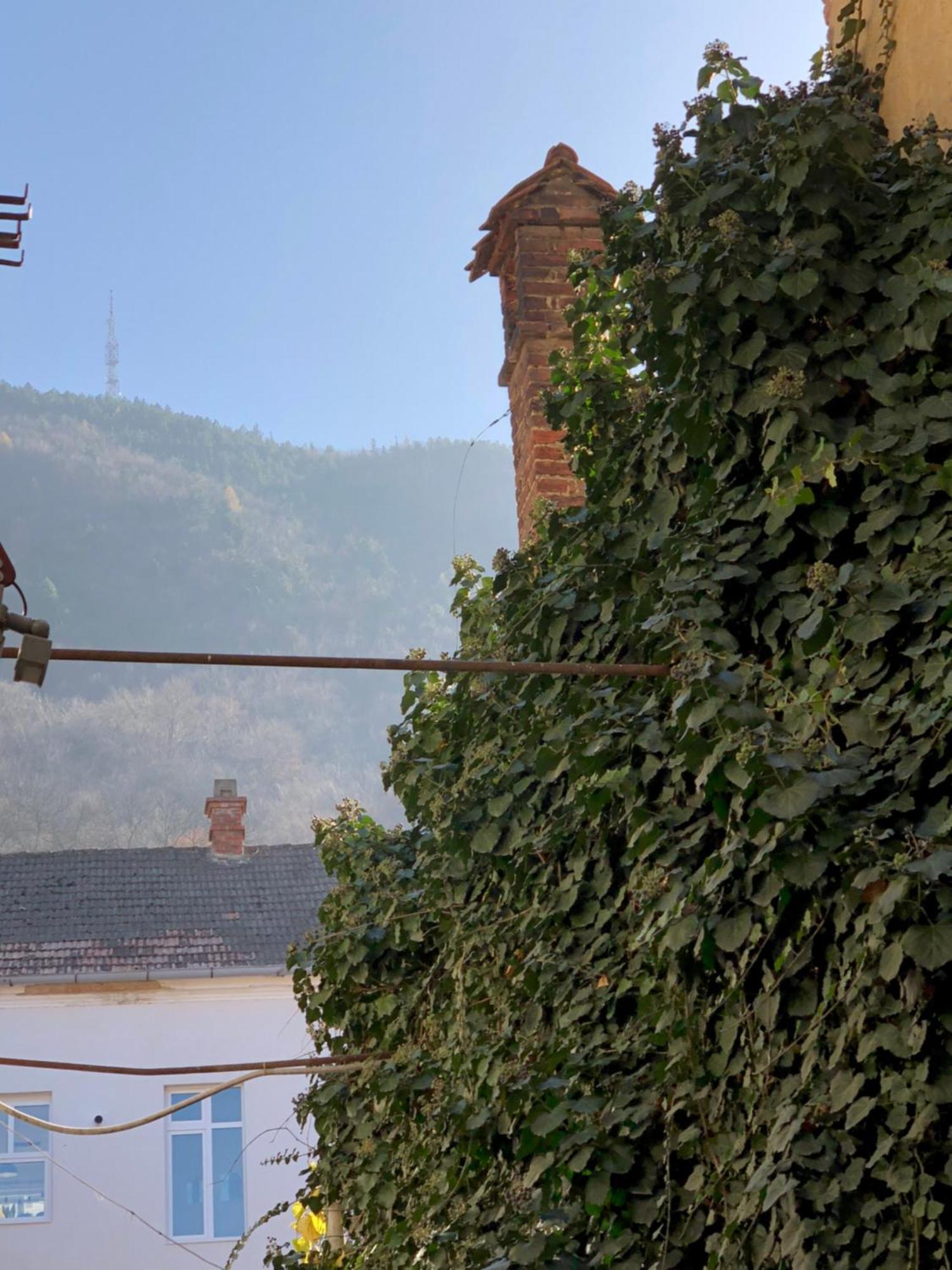 Charming Old Town Flat With Mountain View Daire Braşov Dış mekan fotoğraf